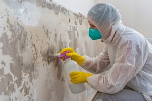 Mold Removal